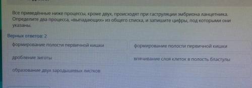 все приведённые ниже процессы, кроме двух, происходит при гаструляции ЭМБРИОНА ЛАНЦЕТНИКА Определите