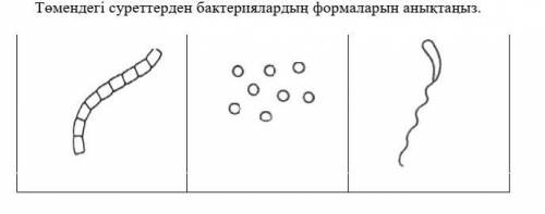 Определите формы бактерий по рисункам ниже.Вот на русском ​