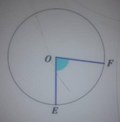 2. Центральный угол ЕОF равен 80 градусов, найти второй угол круга [100, 280, 180, 360]​