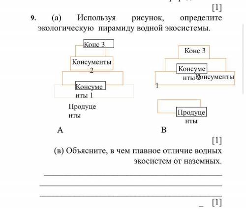 Используя рисунок, определите экологическую пирамиду водной экосистемы.