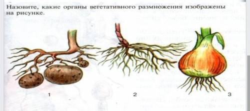 Кто сделает скину 30 руб на карту​