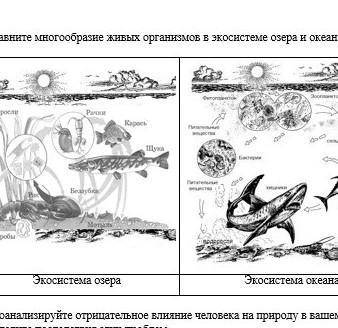 Сор по естествознанию 3 задание сравните озёра и океаны​