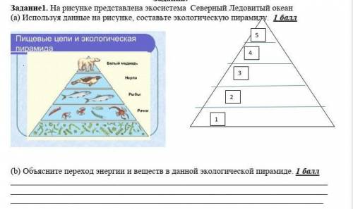 Задание1. На рисунке представлена экосистема Северный Ледовитый океан (a) Используя данные на рисунк