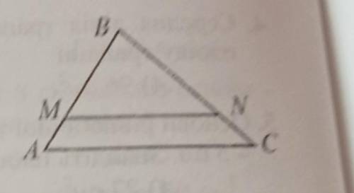 Відрізок MN, що дорівнює 9 см, є паралельним стороні АС трикутника АВС, АС = 12 см, МВ = 7 см. Знайд