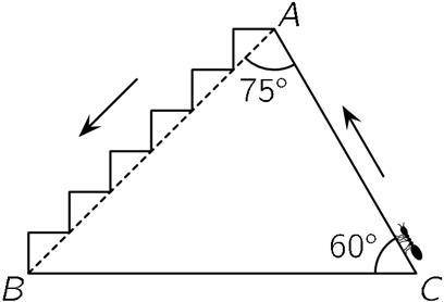 Муравей поднимается от C к A по пути CA и спускается по лестнице от A к B, как показано на рисунке.