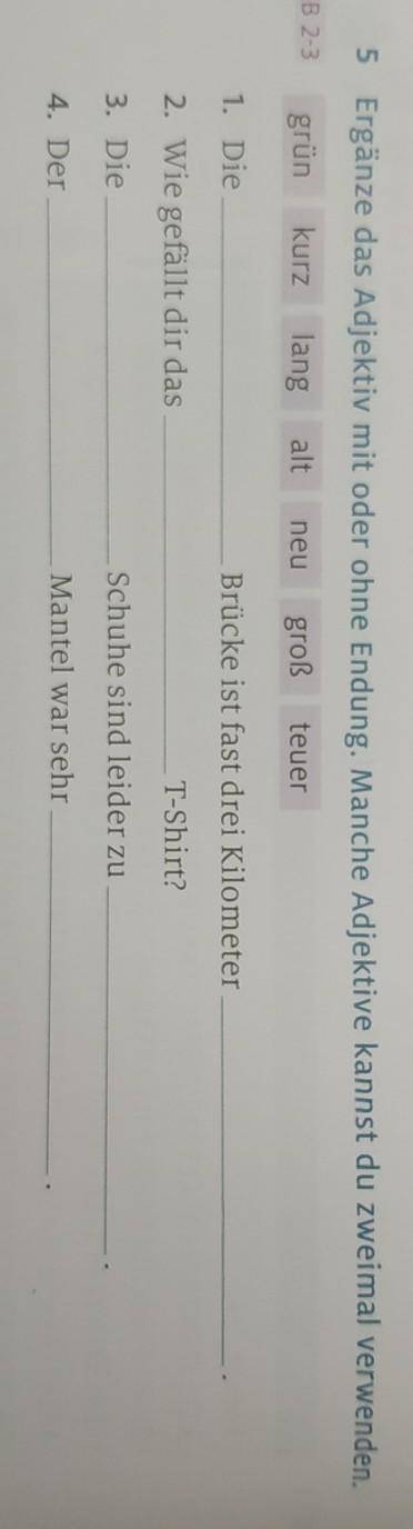 Ergänze das Adjektiv mit oder ohne Endung. Manche Adjektive kannst du zweimal verwenden.​