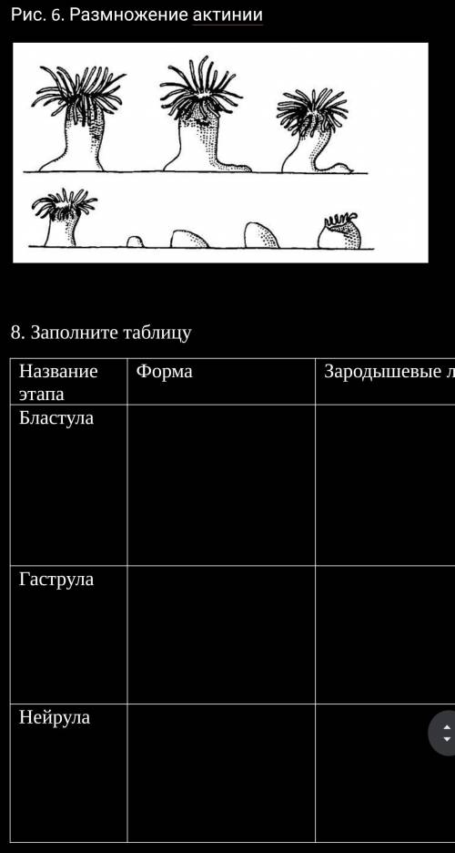 Перечислите размножения:     Рис. 1. Размножение гидры￼Рис. 2. Размножение инфузории￼￼Рис. 3. Размно