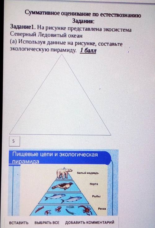 На рисунке представлена экосистема . Северный Ледовитый океан (а) используя данные на рисунке , сост