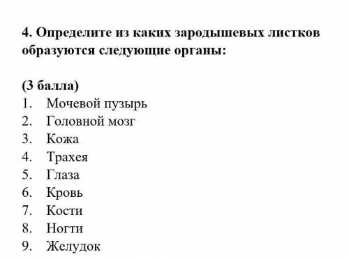 Определите из каких зародышевых листков образуются следующие органы: ​