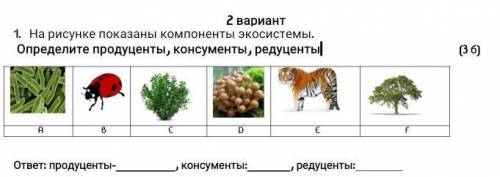 На рисунке показаны компоненты экосистемы. Определите продуценты, консументы, редуценты (3 б)ABCDEf