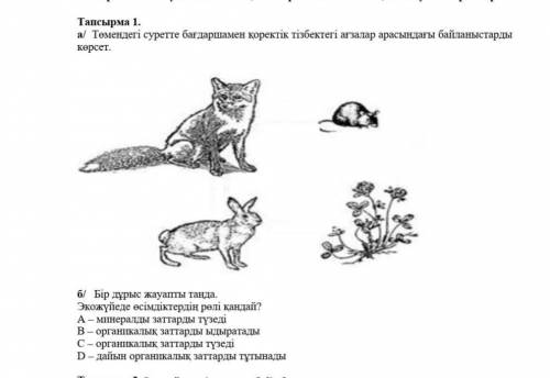 1-тапсырма. а/ Төмендегі суретте бағдаршамен қоректік тізбектегі ағзалар арасындағы байланыстарды кө