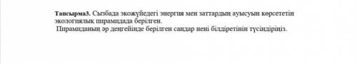 3-тапсырма. Сызбада экожүйедегі энергия мен заттардың ауысуын көрсететін экологиялық пирамидада бері