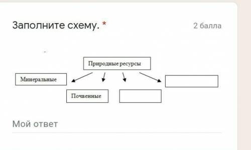 Заполните схемуПриродные ресурсы​