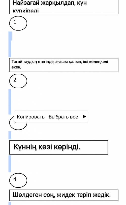 2 тапсырма.   Мәтінді түсініп оқы.Найзағай         Біздер, жеті-сегіз бала, жаздыгүні тоғайға бардық