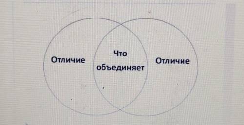 Сравните ФГП Казахстана и Японии при диаграммы Верна , заранее :)​