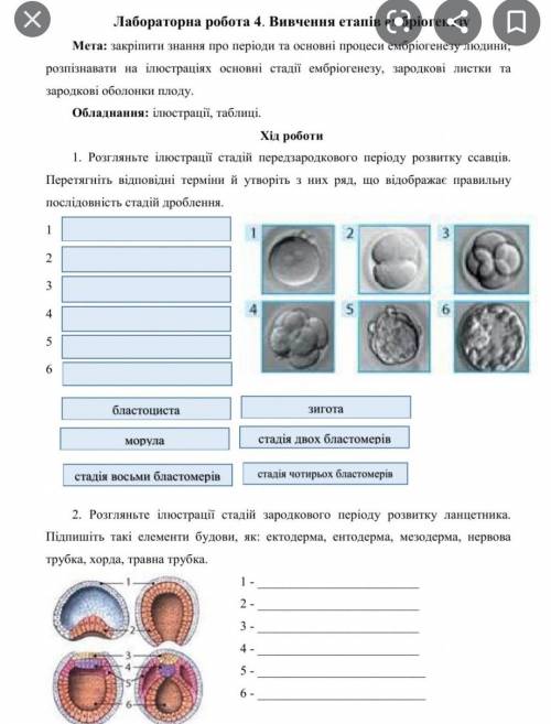 Биология 10 класслабораторна работа ​