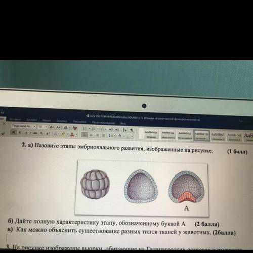 2. а) Назовите этапы эмбрионального развития, изображенные на рисунке. (1 ба A б) Дайте полную харак