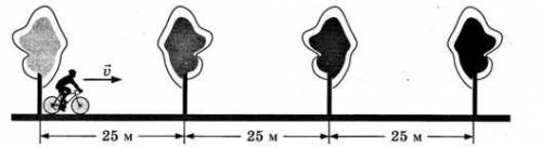Вдоль прямой дороги на равном расстоянии высажены деревья. Велосипе­дист начинает двигаться по дорог