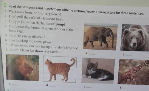 1 Read the sentences and match them with the pictures. You will use a picture for three sentences. 1