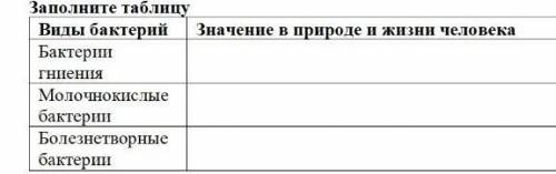 Виды бактерий значение в природе и жизни человека бактерии гниения. молочнокислые бактерии. болезнет