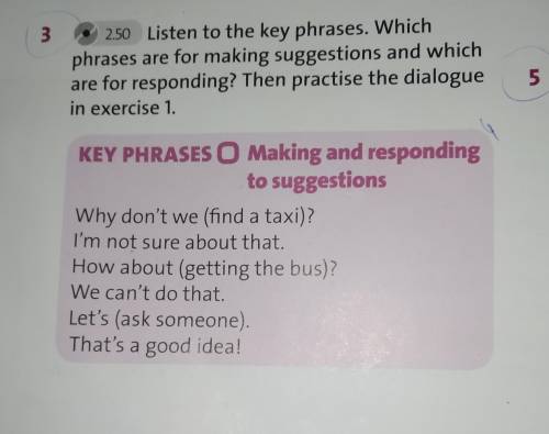 250 Listen to the key phrases. Which phrases are for making suggestions and which are for responding