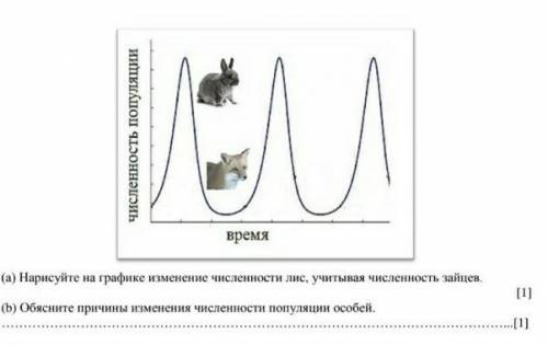 Нарисуйте на графике изменение численности лис, учитывая численность зайцев.​