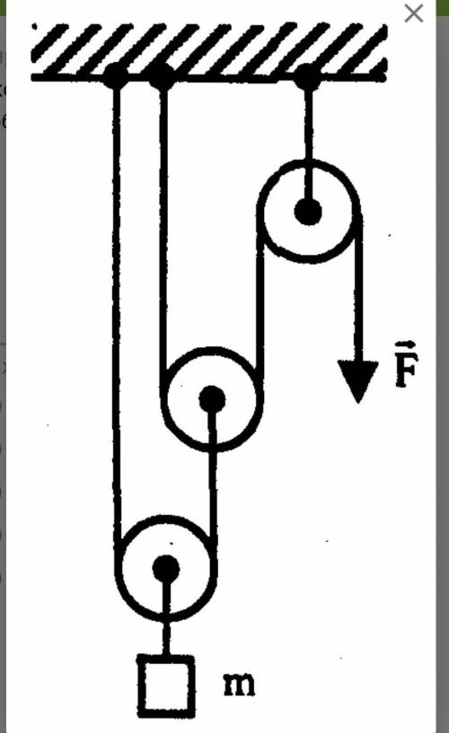 Какой выигрыш в силе дает система блоков, изображенная на рисунке? Укажите правильный вариант ответа