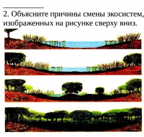 Объясните причины смены экосистем, изображенных на рисунке сверху вниз.​