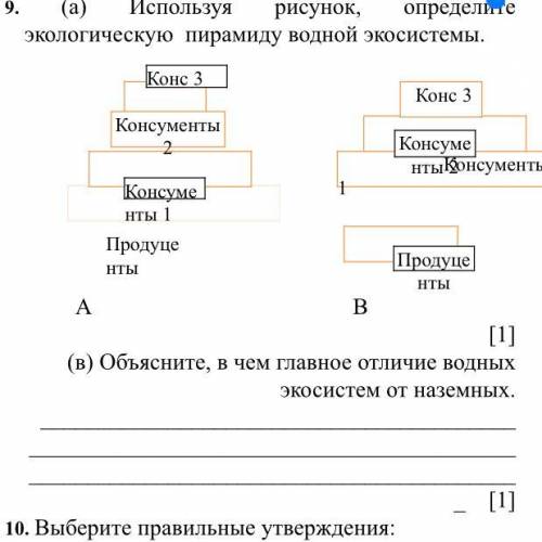 9. (а) Используя рисунок, определите экологическую пирамиду водной экосистемы