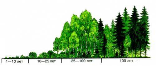 1. Объясните причины смены экосистем, изображенных на рисунке А Б В Г