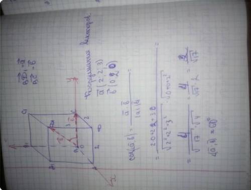 Задание 1. Дан прямоугольный параллелепипед ABCDA1B1C1D1, в котором DA = 2, DC = 3, DD1 = 4. Введит