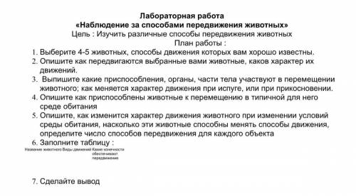 Я выбрала: кошку, собаку, обезьян и пингвина, начинайте с третьего номера