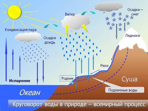 Какой процесс изображен на рисунке? Что лежит в его основе?