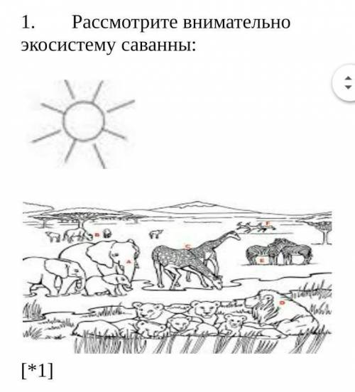 А) Используя не менее трех видов компонентов  на  рисунке,  представьте их в графической форме.  В)