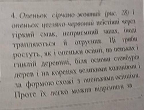 НА УКР НА РУСОпенок серно-желтый иопенок кирпично-красный несъедобные из-загорький вкус, неприятный