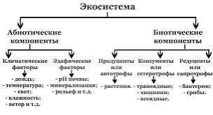 Назовите компоненты экологической системы.​