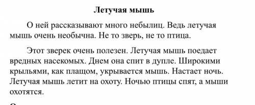 1. Чем необычна летучая мышь? 2. В начале рассказа сказано, что летучая мышь «не то зверь, не то пти