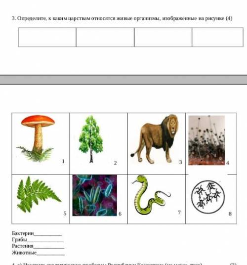 3.Определите к каким царствам относятся живые организмы, на рисунке 5 класс ,СОЧ ПО ЕСТЕСВО