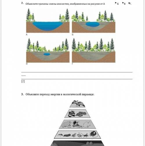 Естествознание соч/сор 6 класс