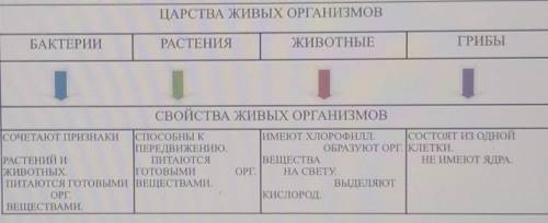 1. ЦАРСТВА ЖИВЫХ ОРГАНИЗМОВ. СОПОСТАВЬТЕ ТЕРМИНЫ.ЦАРСТВА ЖИВЫХ ОРГАНИЗМОВБАКТЕРИИРАСТЕНИЯЖИВОТНЫЕГРИ