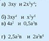 Перемножьте одночлены ​