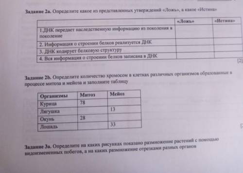 Определите количество хромосом в клетках различных организмов образованные в процессе митоза и майоз