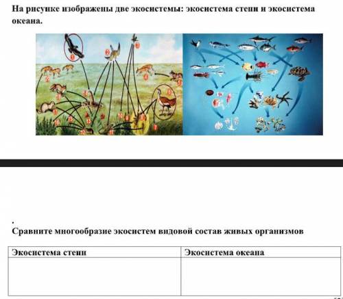 На рисунке изображены две экосистемы: экосистема степи и экосистема океана. Сравните многообразие эк