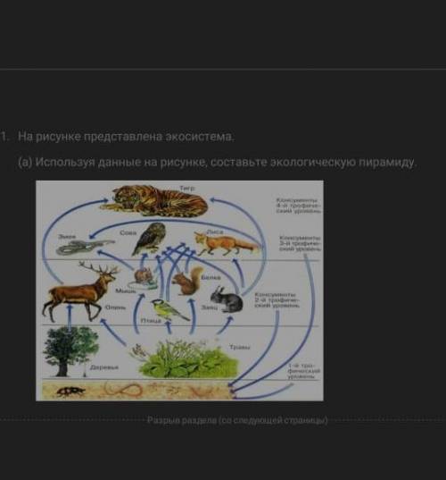 1. На рисунке представлена экосистема. (a) Используя данные на рисунке, составьте экологическую пира