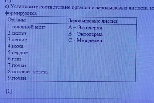 Установите соответствие органов и зародышевых листков, из которых они формируются​