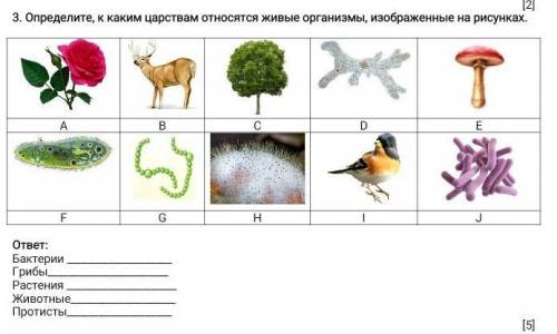 Определите, к каким царствам относятся живые организмы, изображенные на рисунках. ABCDEFGHIJответ:Ба