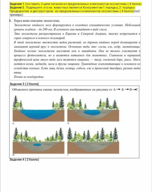 Нужно 2 цепи питания из предложенных компонентов экосистемы. Подписать кто из животных является Конс