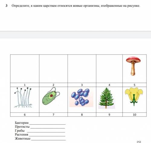 3 Определите, к каким царствам относятся живые организмы, изображенные на рисунке.1 2 3 4 5 6 7 8 9