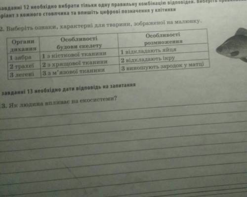 12. виберіть ознаки, характерні для тварини зображенно на малюнку​