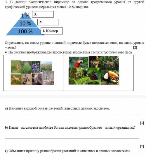 ,СОЧ ПО ЕСТЕСТВОЗНАНИЮ 6 КЛАСС